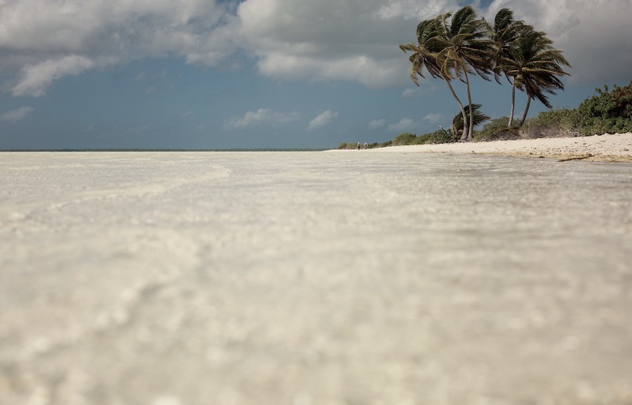 CHRISTMAS ISLAND SPECIAL gallery image